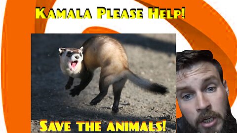 Kamala Please Save Our Animals