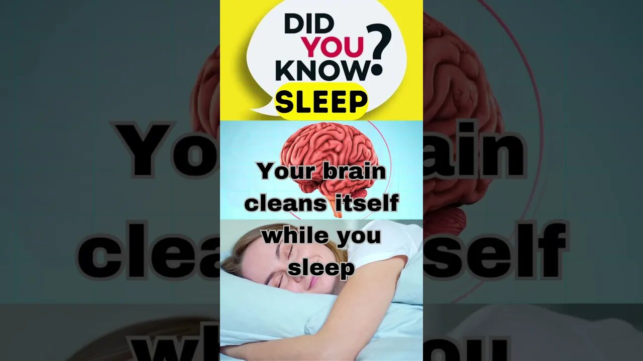 Sleep Facts. ⏰