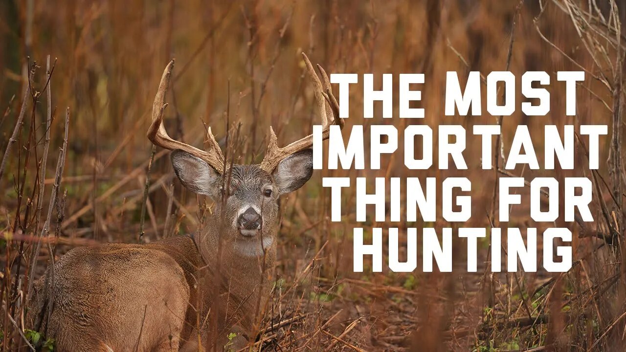 The Most Important Thing for Deer Hunting