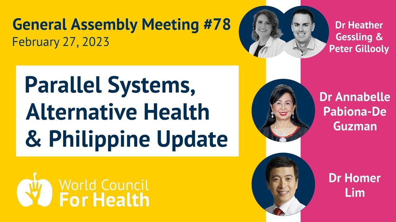 Building a parallel healthcare system - World Council for Health