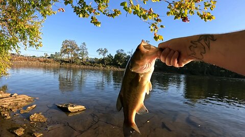 Sunset bass fishing