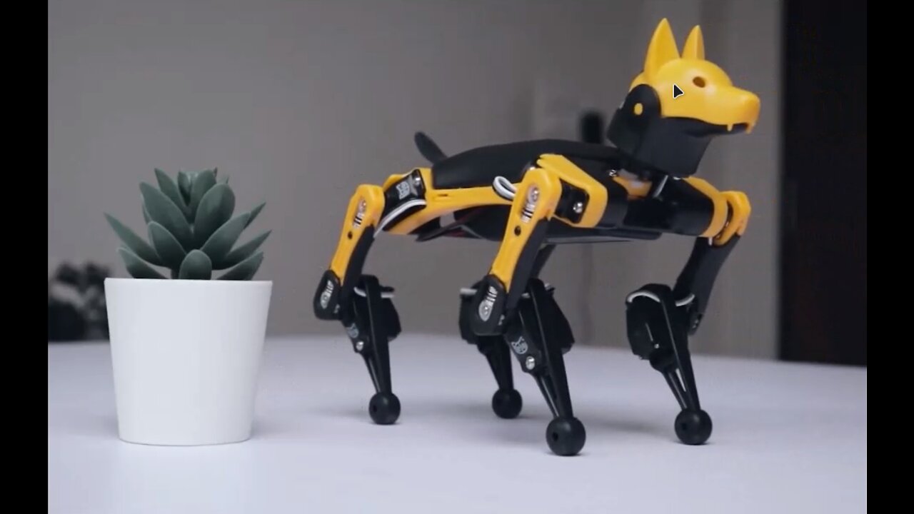 Petoi Bittle The Bionic Dog Robot