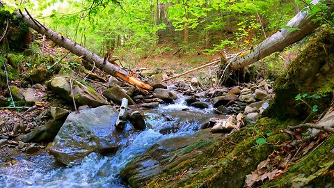 Water coming from mountains