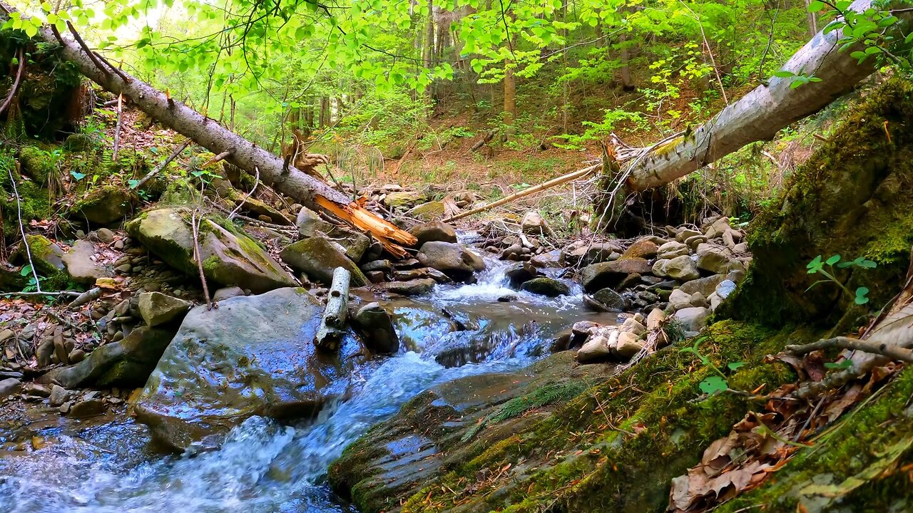 Water coming from mountains