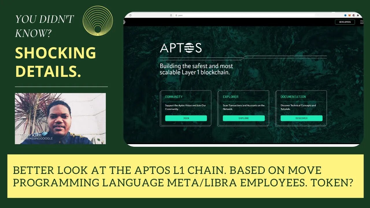 Better Look At The Aptos L1 Chain. Based On Move Programming Language Meta/Libra Employees. Token?