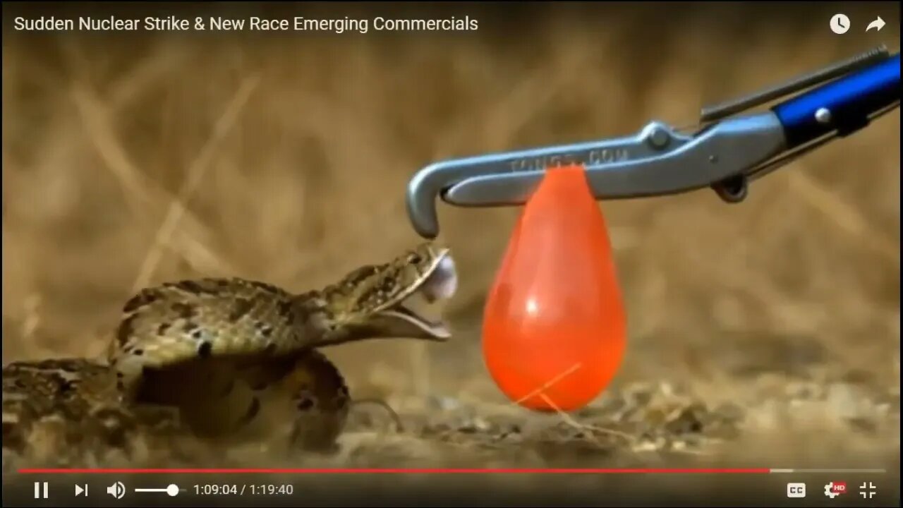 3 Subjects Covered in this Video - Jonathan Kleck