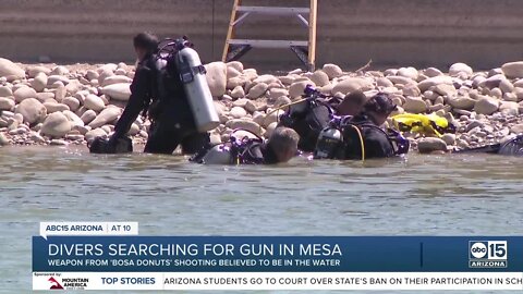 Divers searching for gun in Mesa