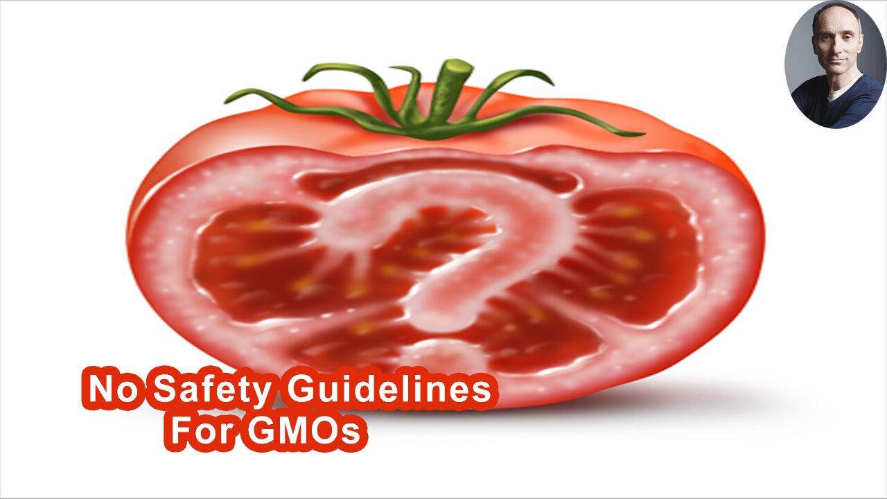 Did The United States FDA Really Have No Safety Guidelines For GMOs Before They Were Released In The