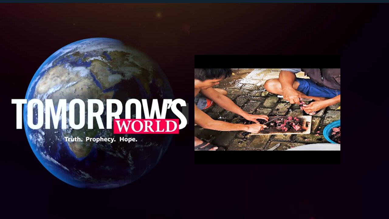 [Old footage] For Years We Said COVID like Pandemics Were Coming! How Did We Know? Bible Prophecy.