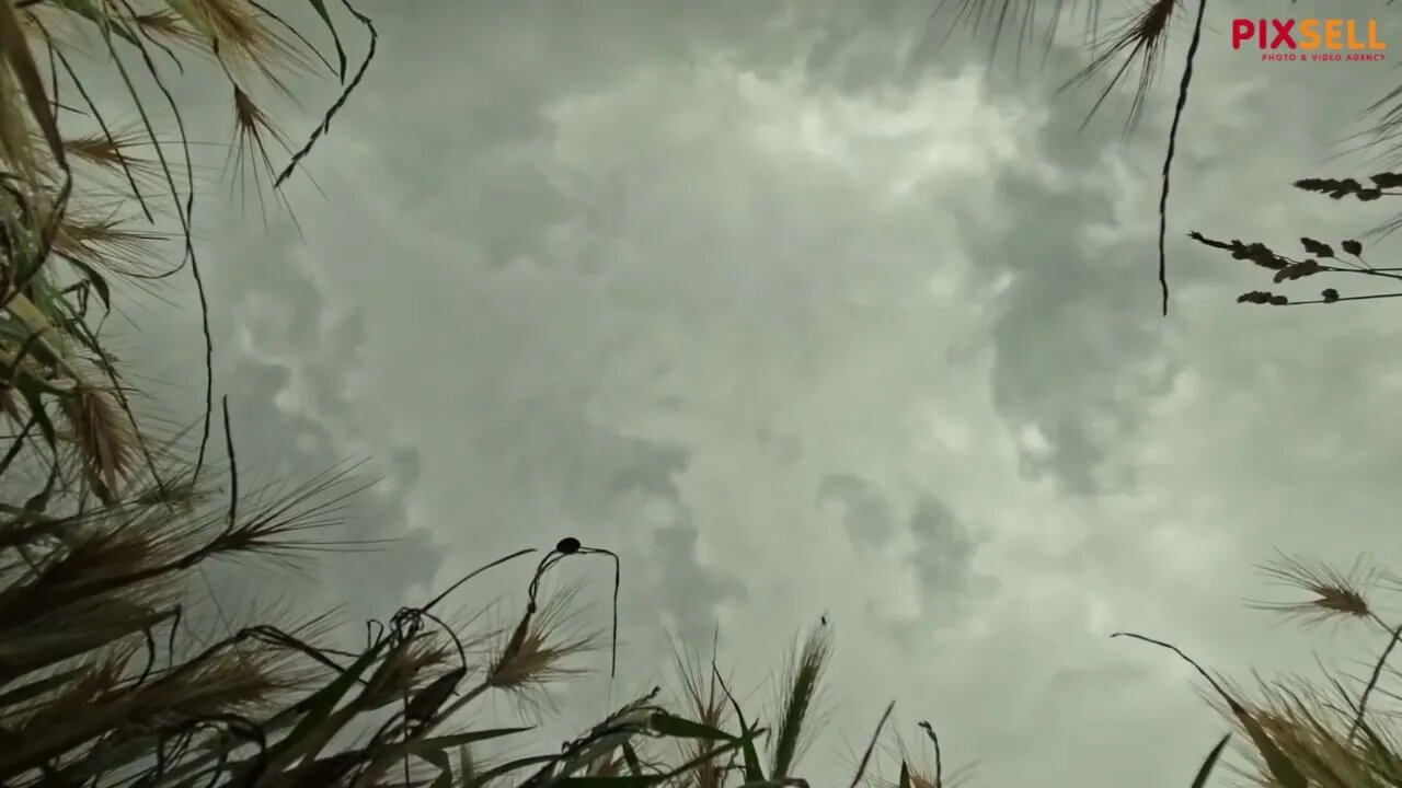 TIMELAPSE oblaka iznad zagrebačkog savskog nasipa