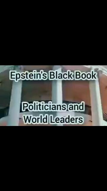 WATCH: Jeffrey Epstein and his clients.