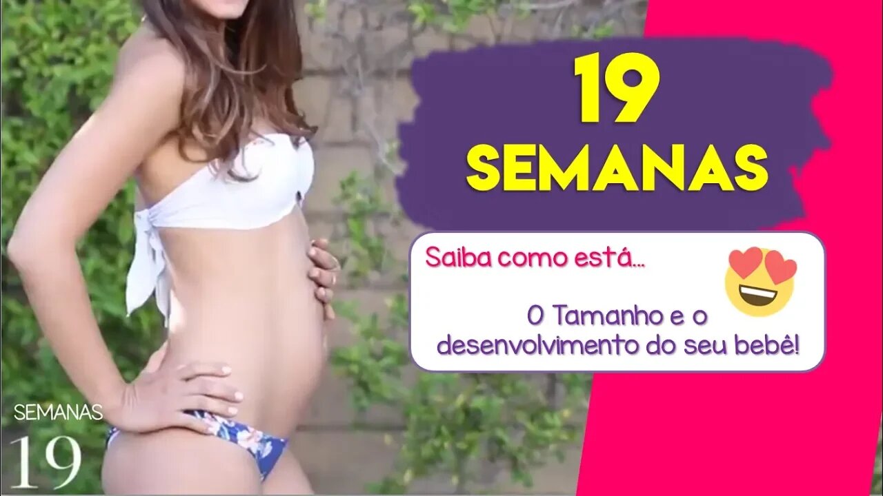 19 SEMANAS DE GRAVIDEZ (5 Meses) | Patrícia Moreira