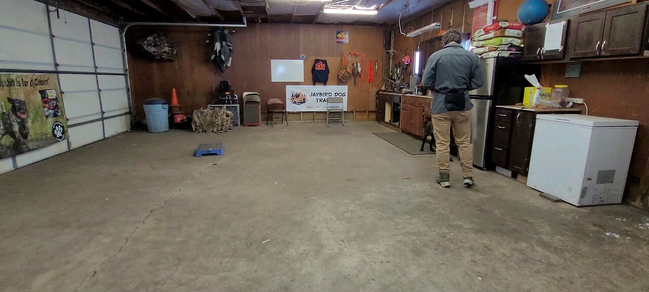 sometimes the trainer is clumsy