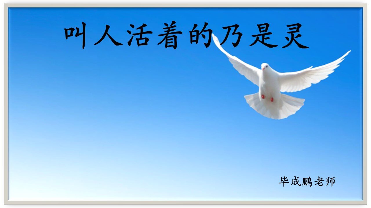 叫人活着的乃是灵