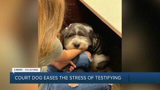 Court Dog Eases the Stress of Testifying