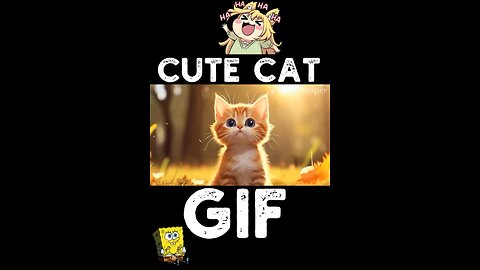 Cute Cat Gif