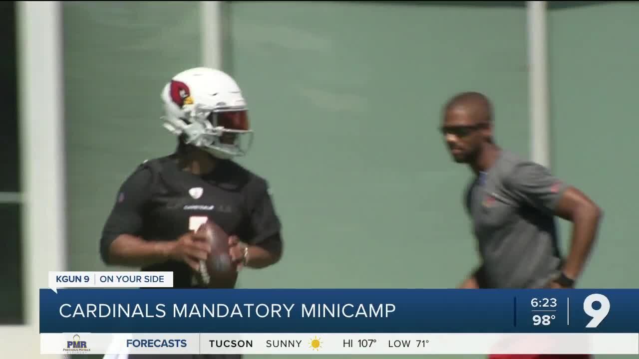 Cardinals Minicamp begins