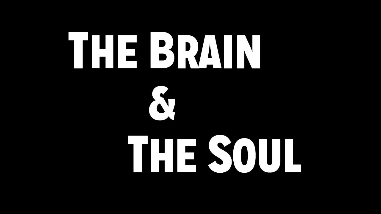 Sickness and Soul Damage Part 5: The Brain and the Soul