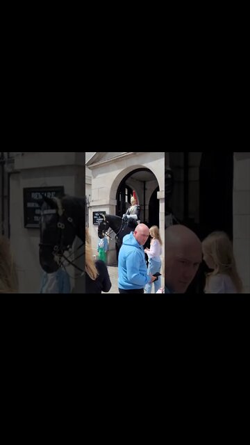 The queen's guard scares the tourist #horseguardsparade