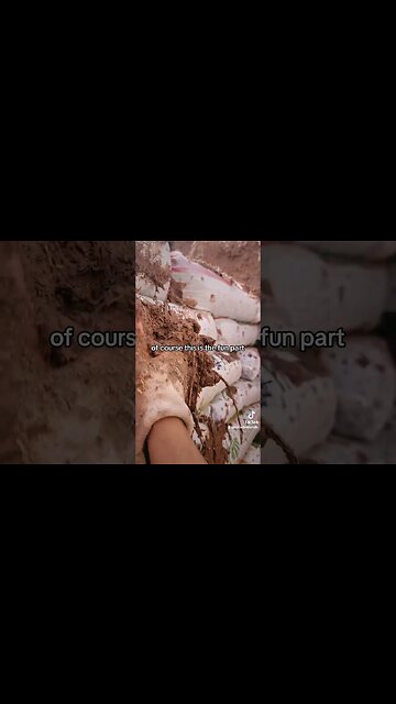 My Favorite Part Of Building Our Root Cellar #offgrid #naturalbuilding naturalbui