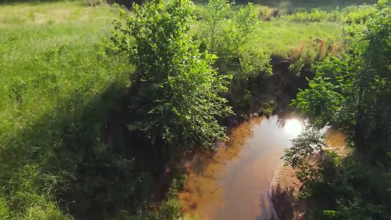 DJI FPV : CircleP (602)