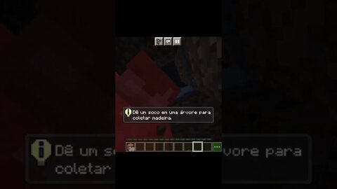 Minecraft - #shorts