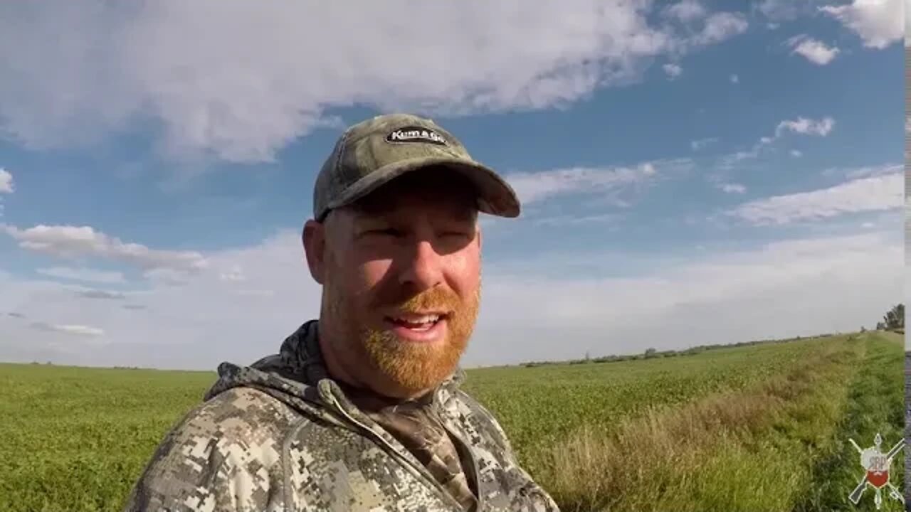 BUCK on BEANS, Public Land | North Dakota Public Land Whitetail Deer Hunting