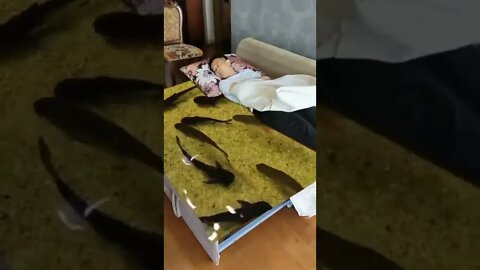 OMG😮😮🔥 #shorts