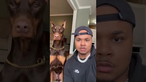 que sacanagem 😂😂😂