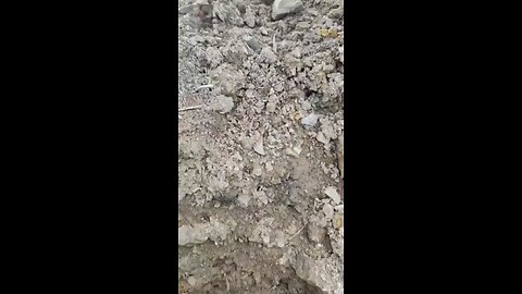 Russia Ukraine war