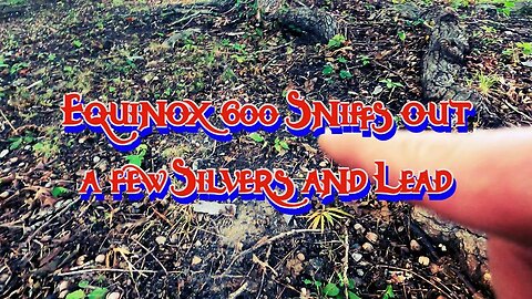 Equinox 600 Hits on Some Silvers / Metal detecting / Southern Virginia / Surprise Relics Found