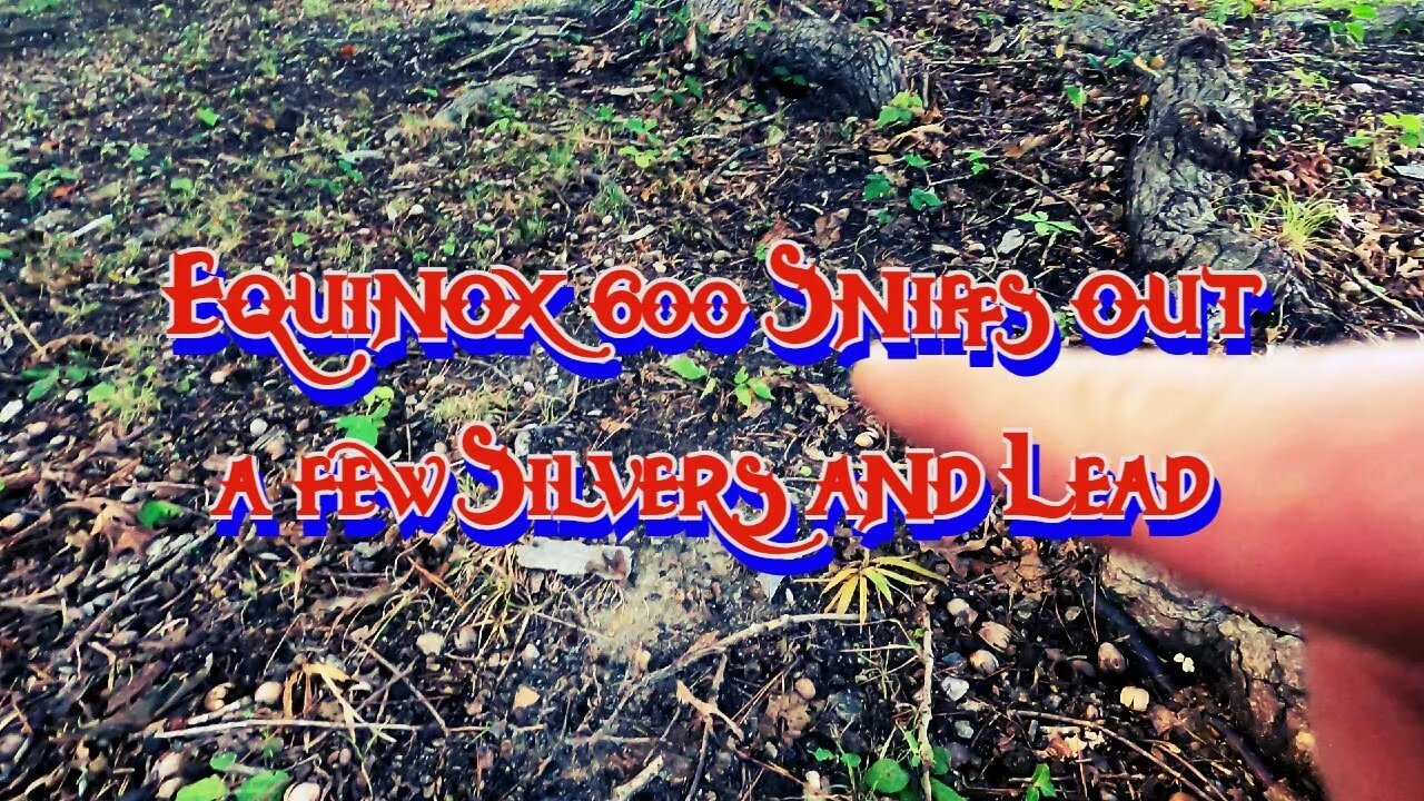 Equinox 600 Hits on Some Silvers / Metal detecting / Southern Virginia / Surprise Relics Found