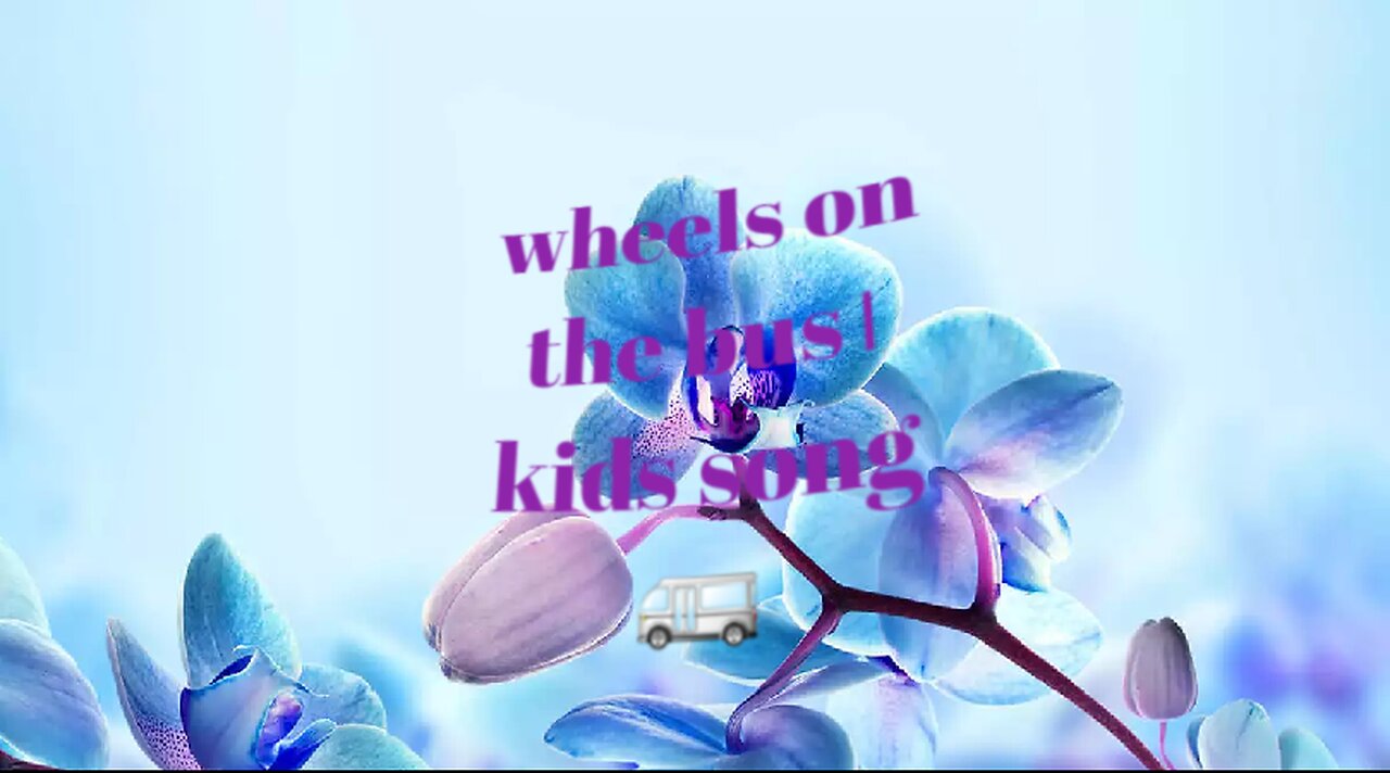 wheels on the bus kids song 🚐