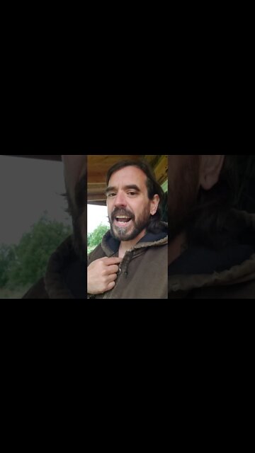 The CDC Doesn't Really Care