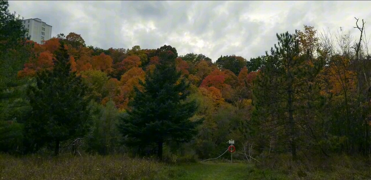 Morningside Park, Ontario, Canada. Autumn Colors at peak,A Scenic walk. Oct,19,2023.Peace and Charm.