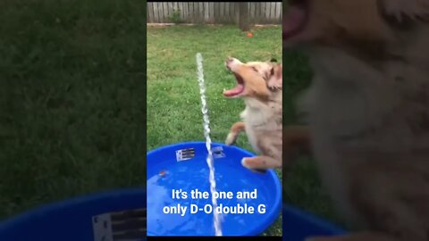 It's the one and only D-O double G #shorts