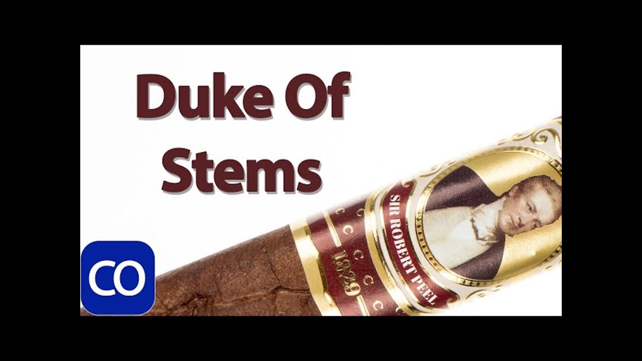 Protocol Sir Robert Peel Maduro Toro Cigar Review