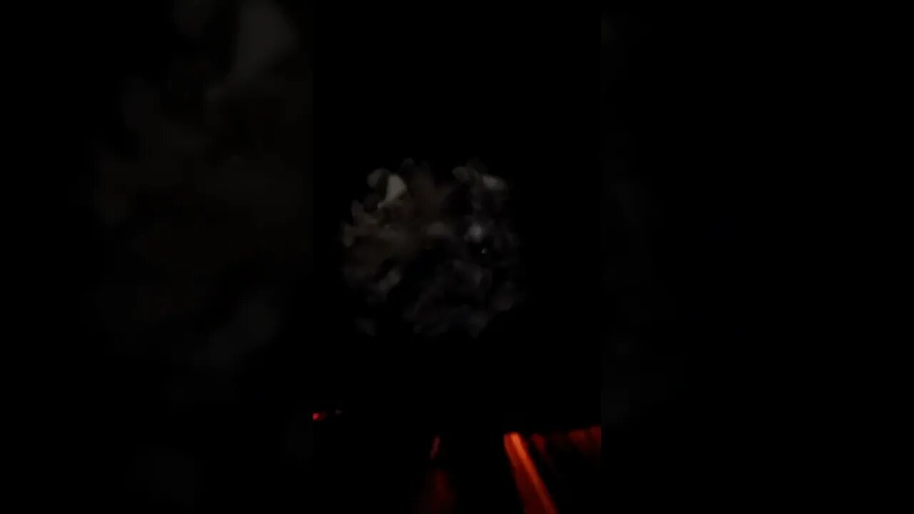 cooking time for dinner adobong pork. come let's its