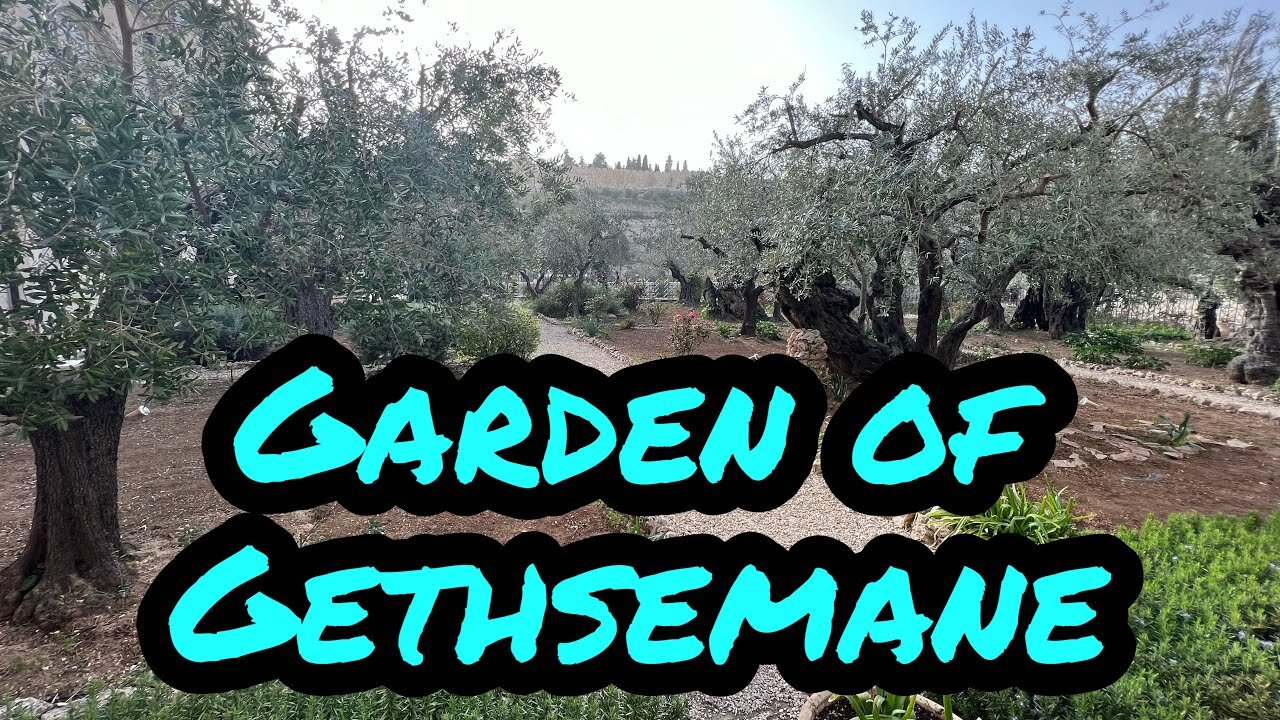 Israel 2023: My Review of the Garden of Gethsemane