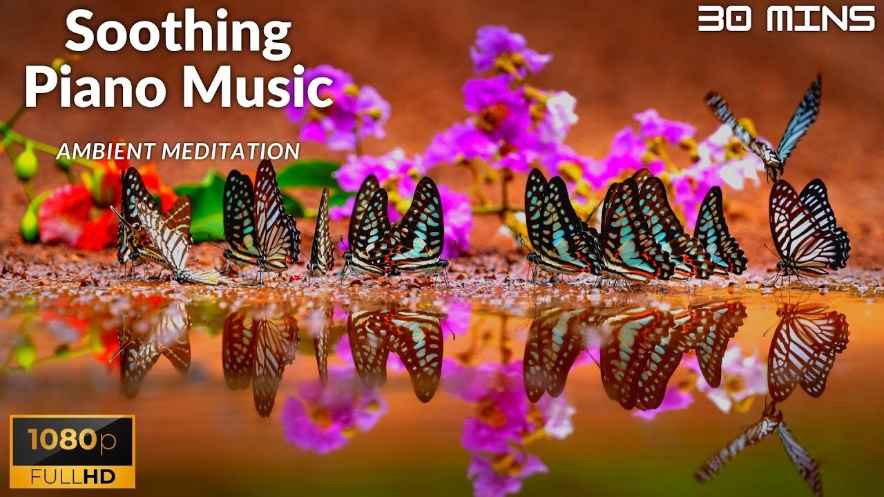 Beautiful Relaxing Music | Peaceful Soothing Instrumental Music | Stress Relief | Nature Relaxation