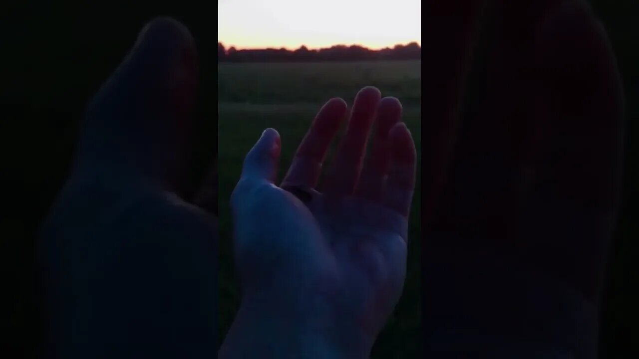 Releasing a firefly