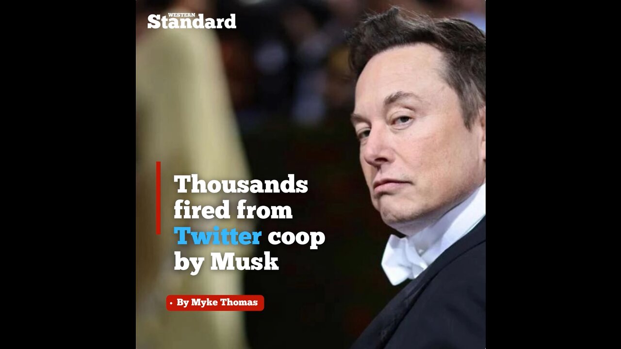 Thousands fired from Twitter coop by Musk