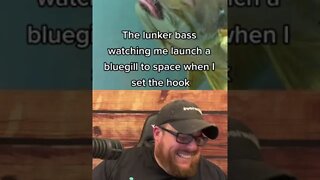 Here’s Your Dose Of REALarious…🤣🤣🤣