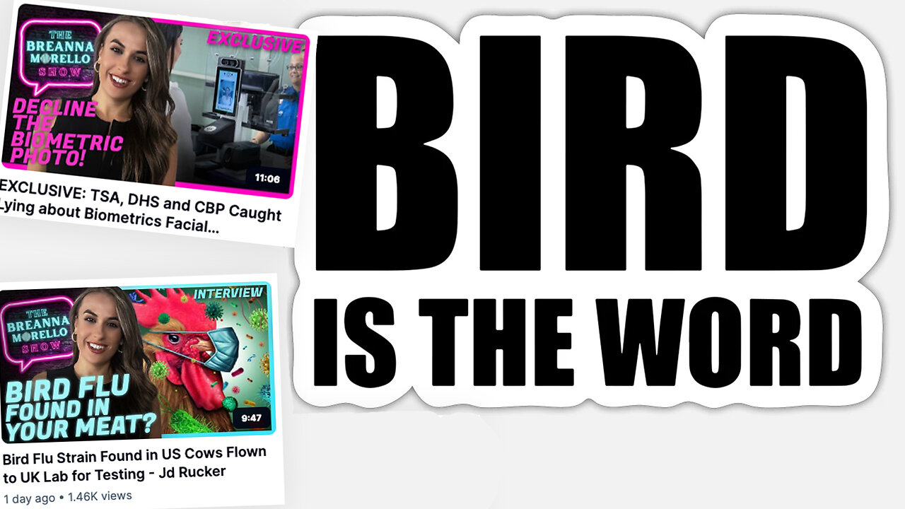 Breanna Morello | Facial Recognition Software In US Airports? TSA, DHS & CBP Working Together to Normalize Facial Recognition-Based Surveillance State? + Michigan's Largest Egg Farm Lays Off 400 Workers Amid Bird Flu Outbreak?