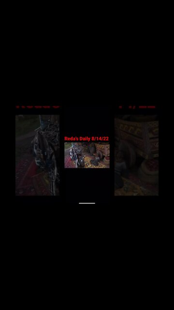 Reda’s Daily 8/14/22