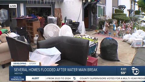 Several homes flooded after water main break in Nestor