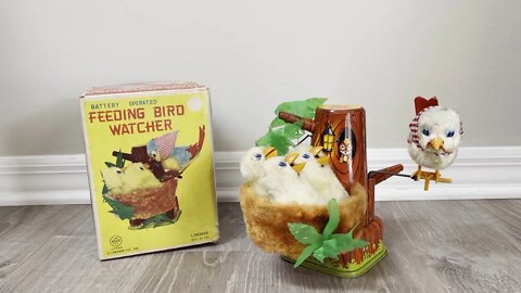 Feeding bird watcher Will remind you of your kids!