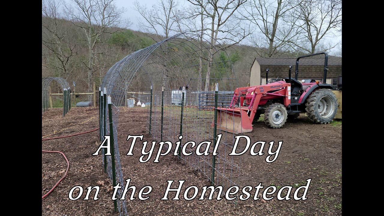 A Typical Day on the Homestead