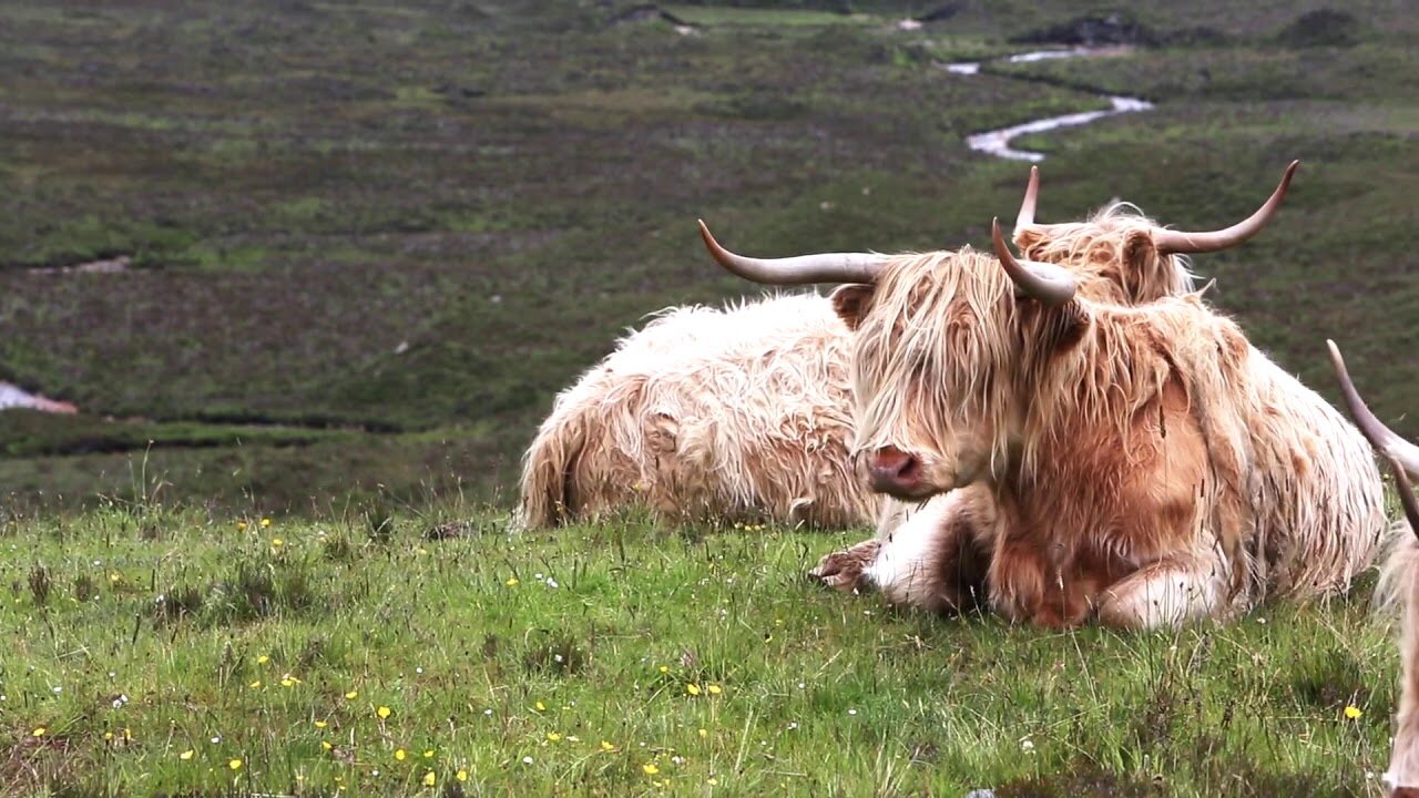 BEAUTIFUL SCOTLAND | Drone Aerial View