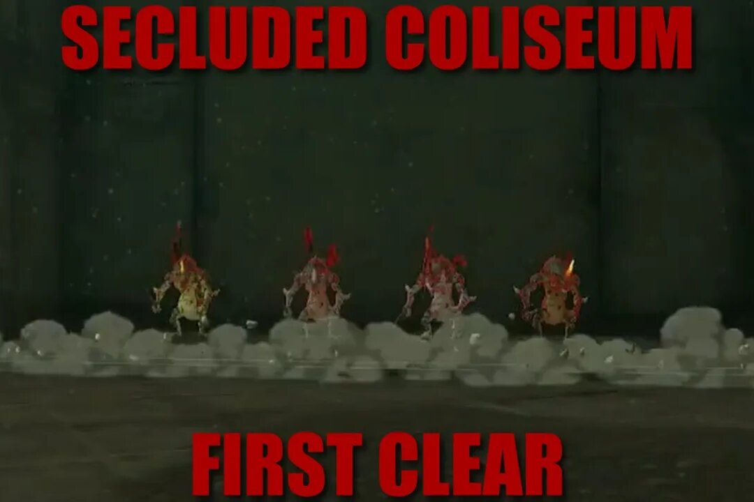 SECLUDED COLISEUM : ZELDA TEARS OF THE KINGDOM